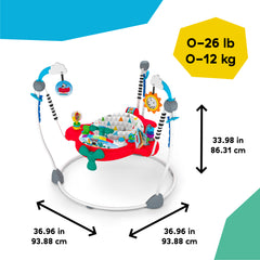Baby Einstein Airplane Adventure 2-In-1 Activity Jumper