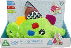 ELC Development Wall Sensory Dinosaur