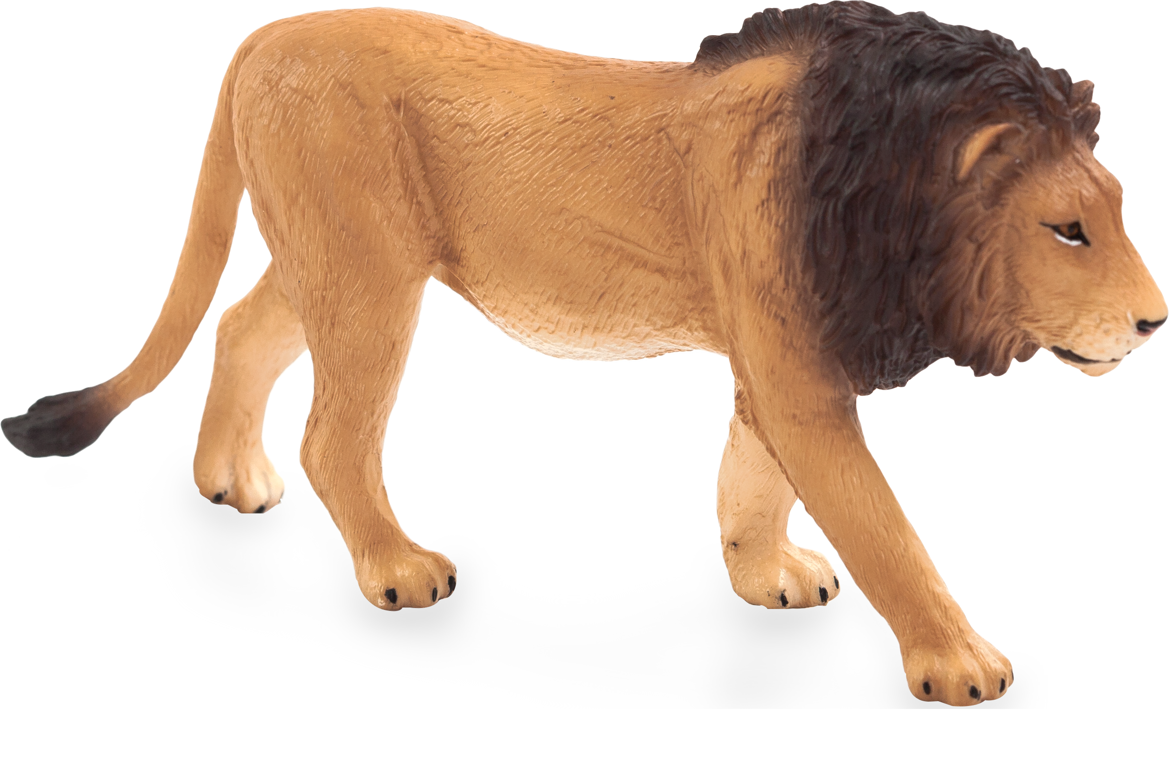 Toy School Male Lion