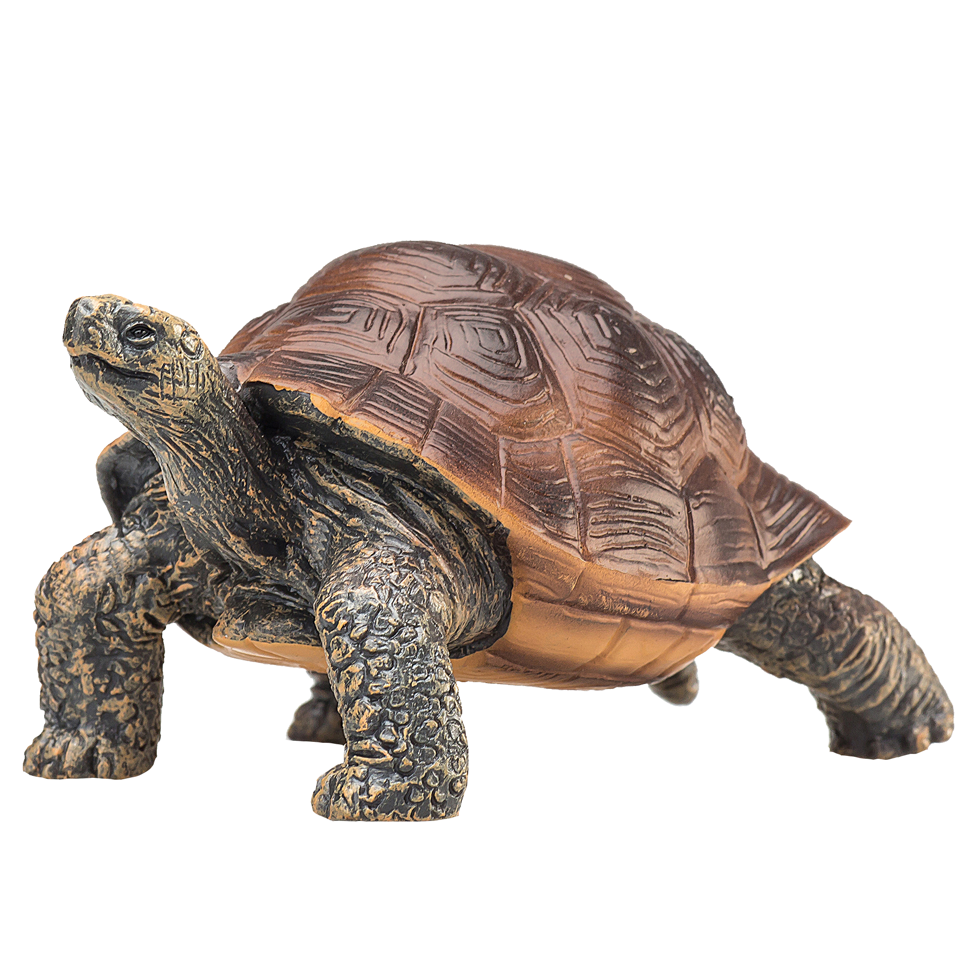 Toy School Giant Tortoise