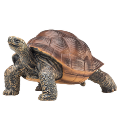 Toy School Giant Tortoise