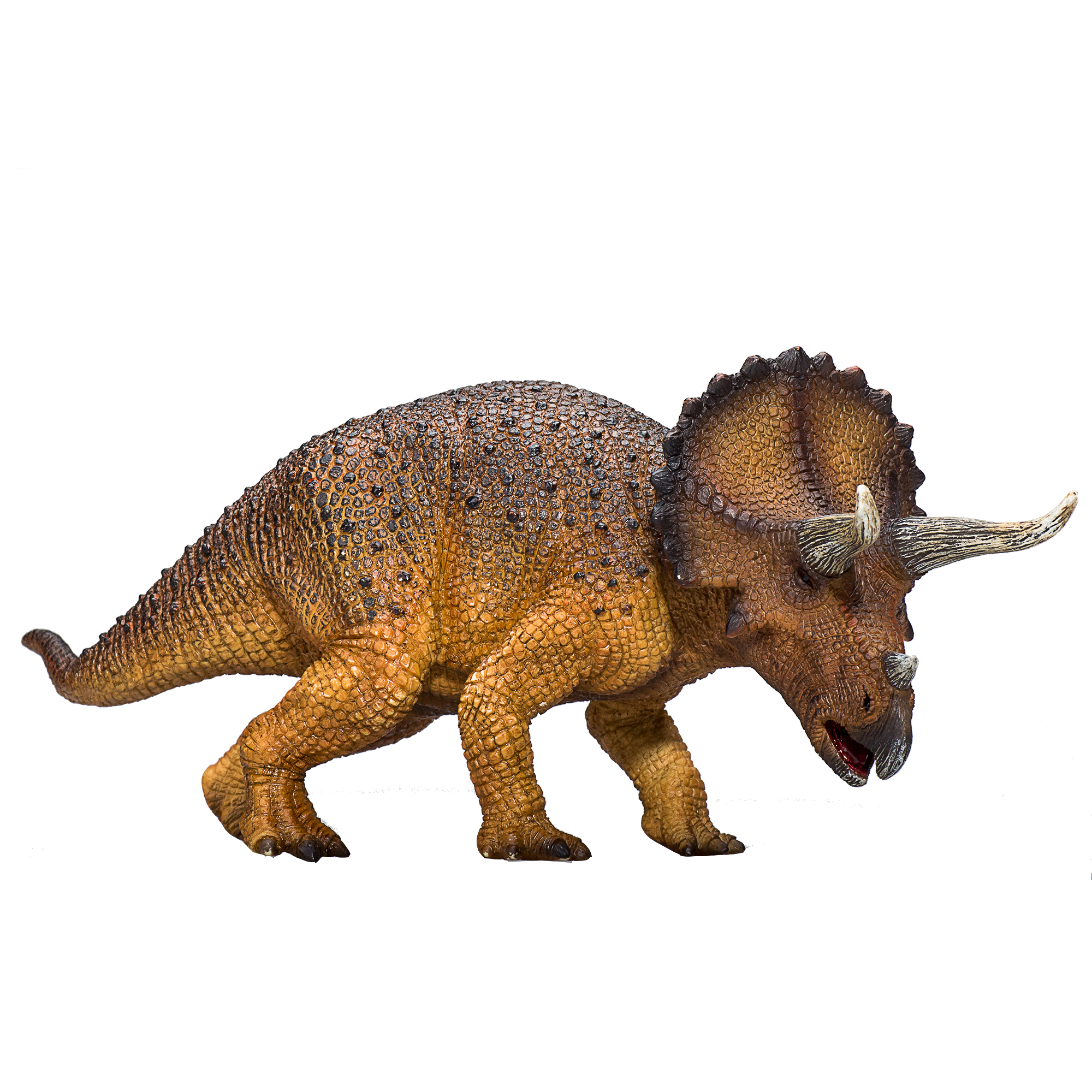 Toy School Triceratops