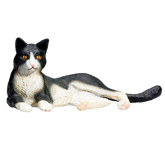 Toy School Cat Lying Black And White