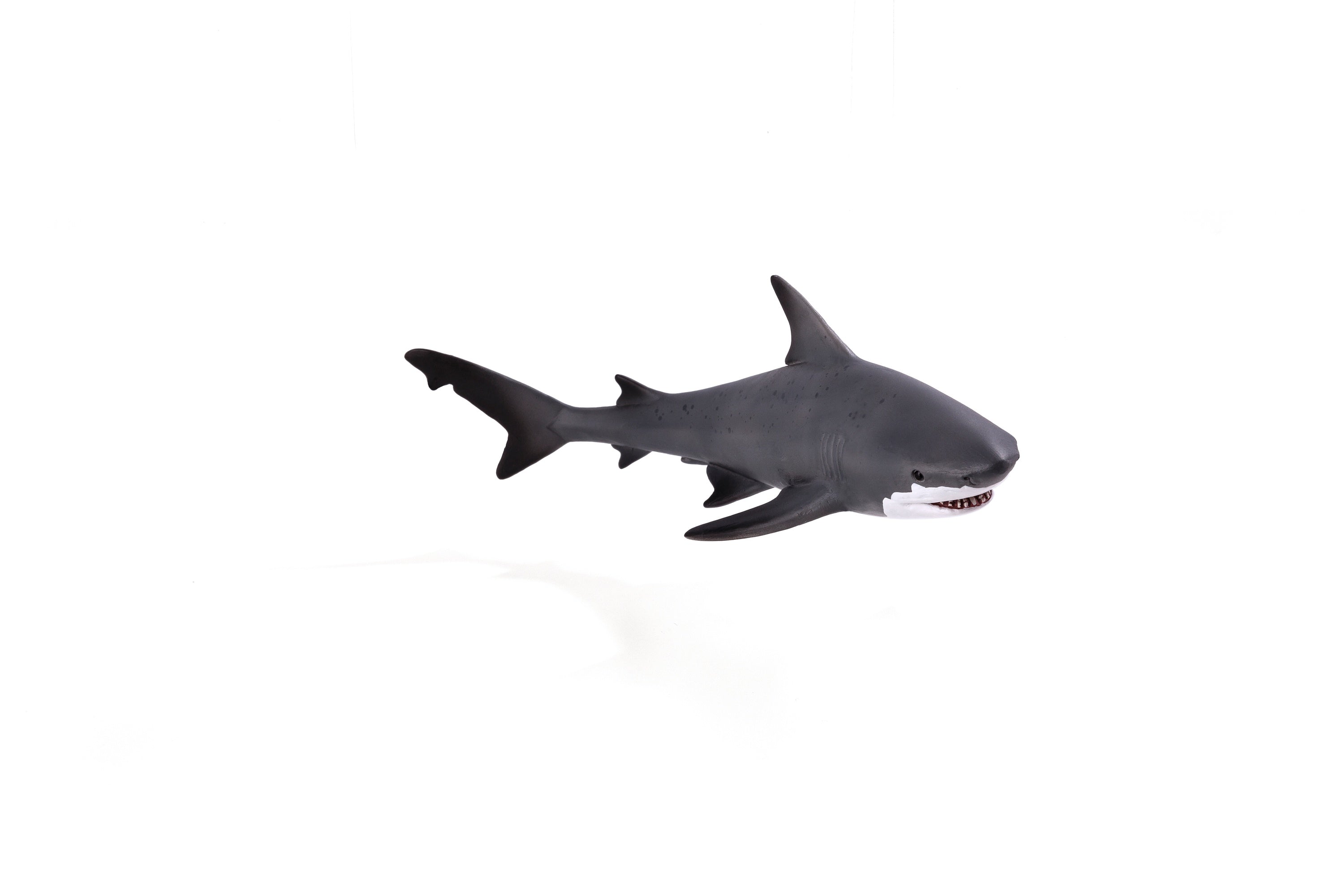 Toy School Bull Shark