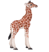 Toy School Plastic Animal Giraffe Calf