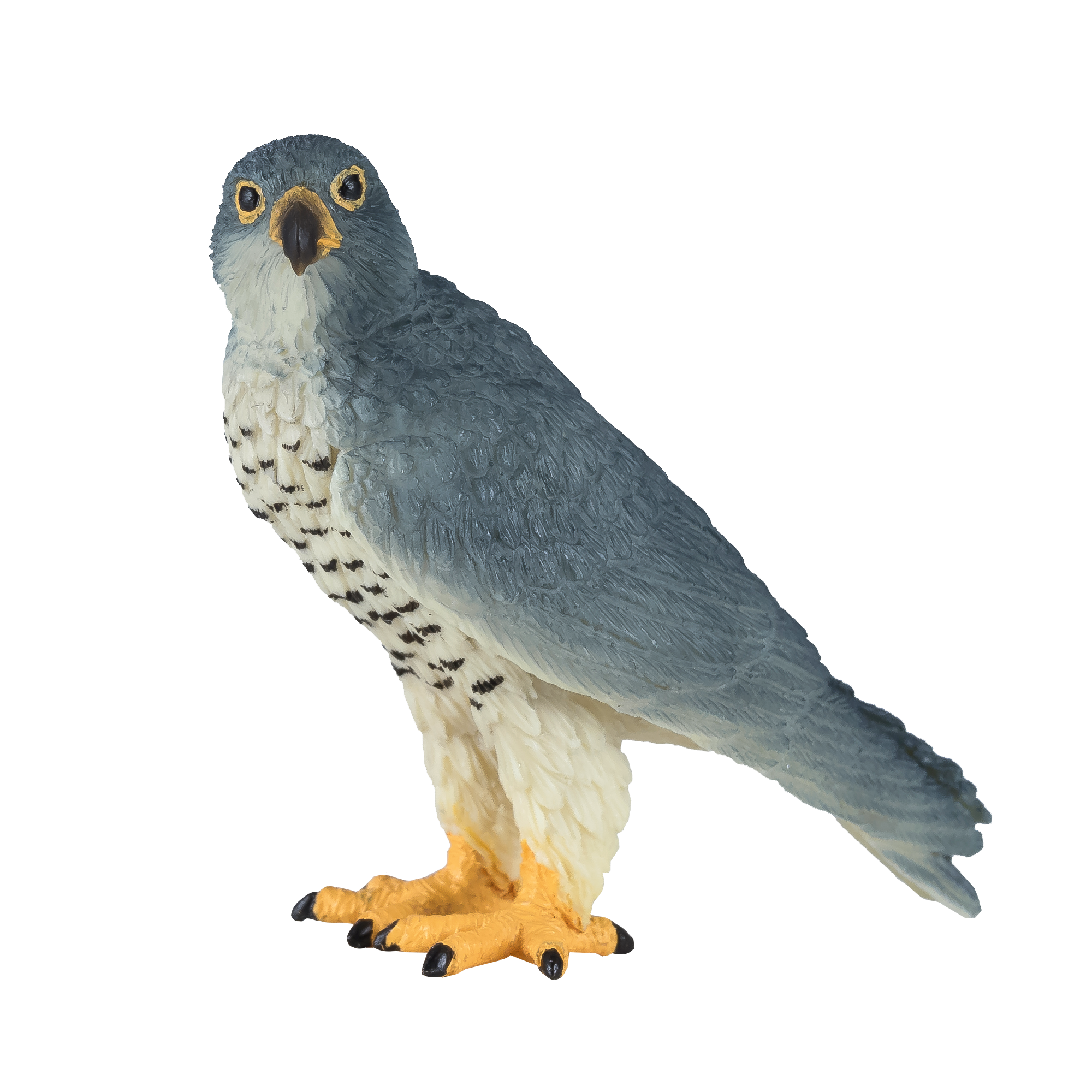 Toy School Plastic Animal Peregrine Falcon