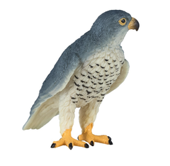 Toy School Plastic Animal Peregrine Falcon