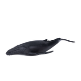 Toy School Plastic Animal Humpback Whale