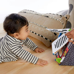 Baby Einstein Flip For Art Clr