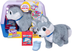 Little Live Pets Ouchies – Aspen the Husky Puppy