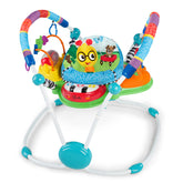Baby Einstein Neighborhood Friends Baby Activity Jumper