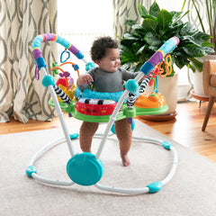Baby Einstein Neighborhood Friends Baby Activity Jumper
