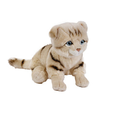 Natgeo Plush Premium Scottish Cat 10 Inch