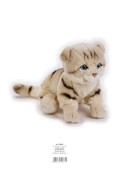 Natgeo Plush Premium Scottish Cat 10 Inch