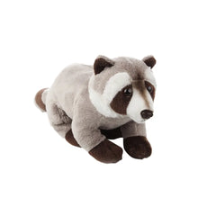 NATGEO PLUSH PREMIUM RACOON 6INCH