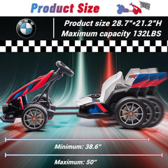 Rayfun BMW Kart License