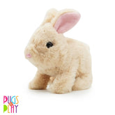 بسكويت قفزات الكلاب القزمية 6.5 بوصة