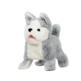 ألعاب الكلاب القزمية (البغز) - أرشي العجيب - إصدار محدود