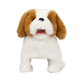 ببغاوات صغيرة تلعب، لولا تقلب، إصدار محدود.