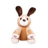 كلاب البوغز تلعب لعبة "أين أنت" - 10 بوصات - حسب الطلب