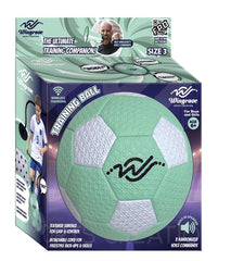Wingrove Training Ball Battery Operated
