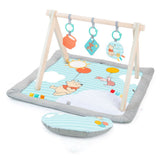 Bright Starts Winnie The Pooh Once Upon A Tummy Time  Activity Gym