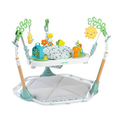 Ingenuity Tummy To Toes 6-In-1 Milestones Center