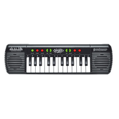 Power Joy Music Keyboard 24Keys W/Mic Battery Operated