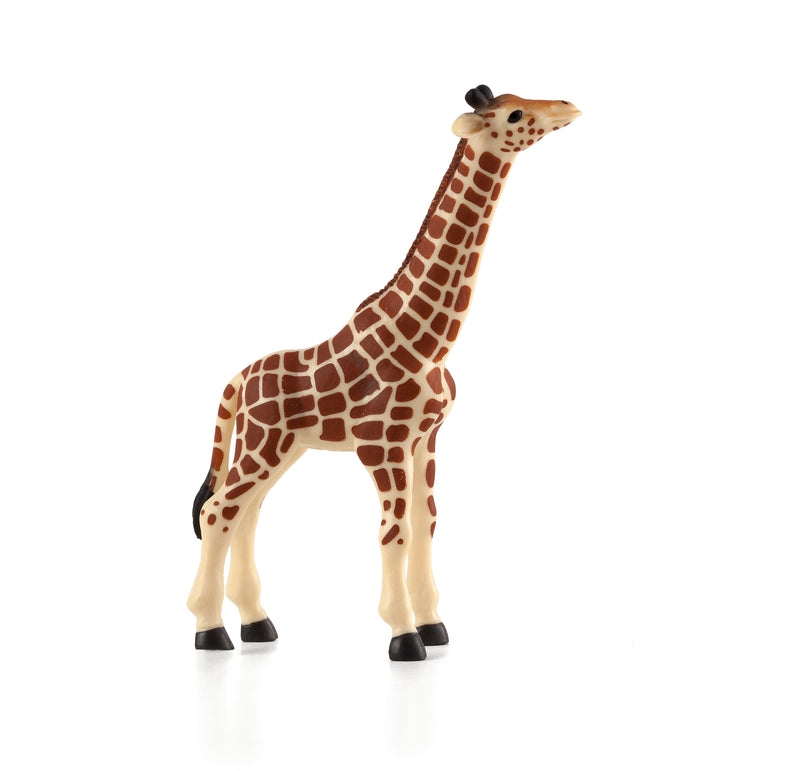 Toy School Giraffe Calf