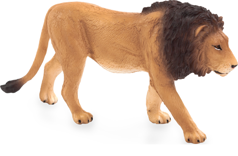 Toy School Male Lion