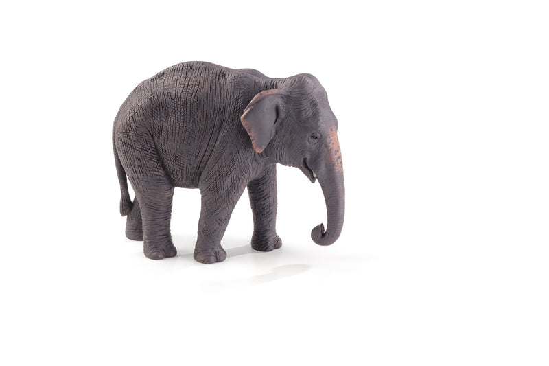 Toy School Asian Elephant