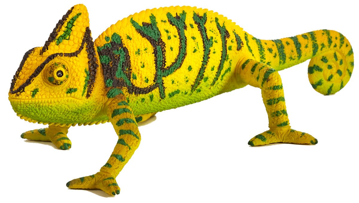 Toy School Chameleon