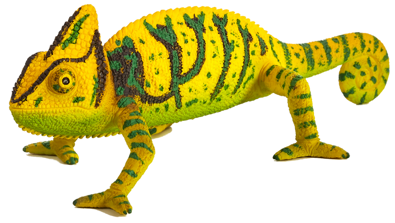 Toy School Chameleon