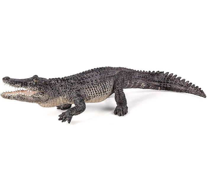 Toy School Alligator With Moving Jaw