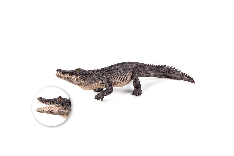 Toy School Alligator With Moving Jaw