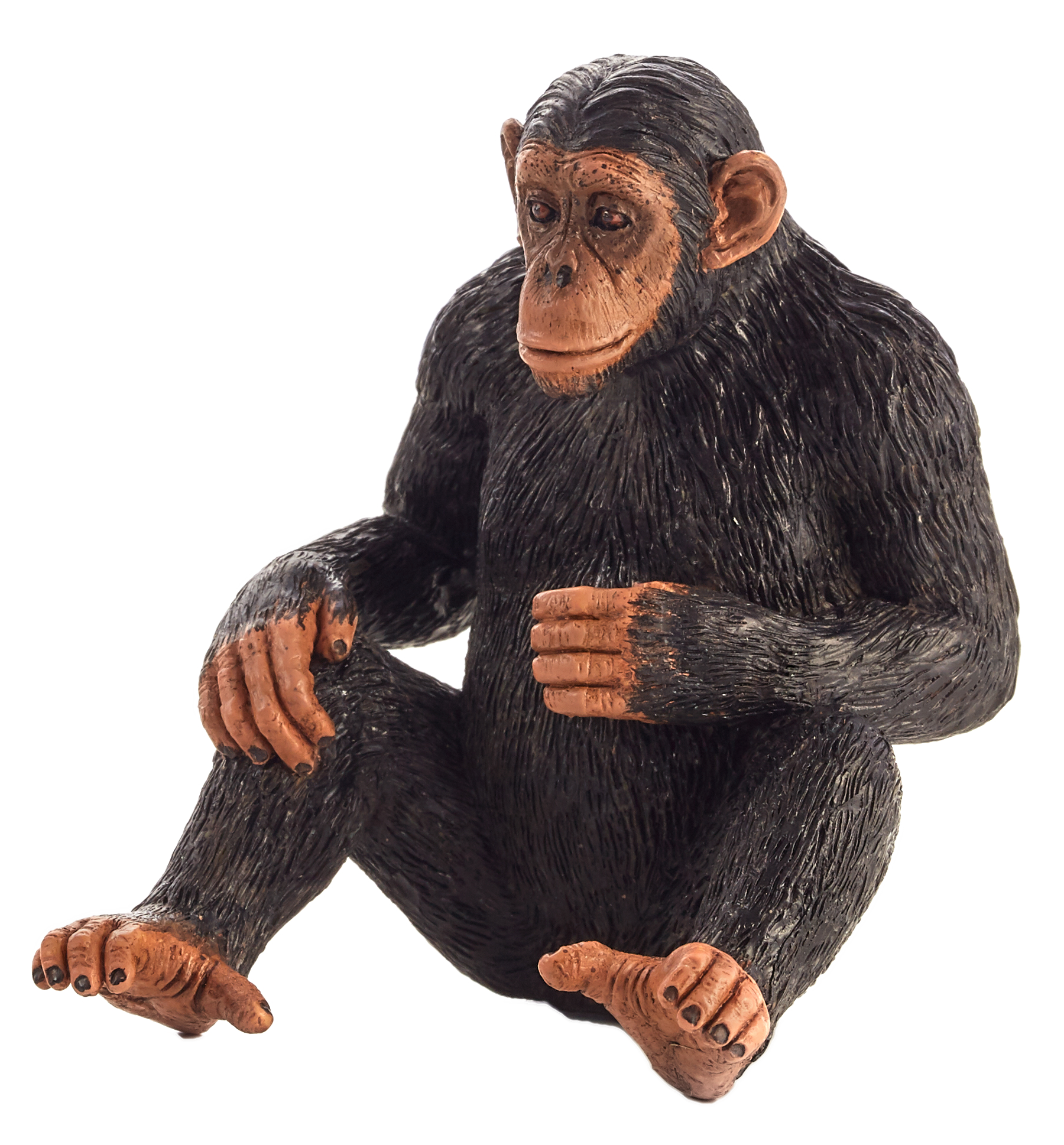 Toy School Chimpanzee