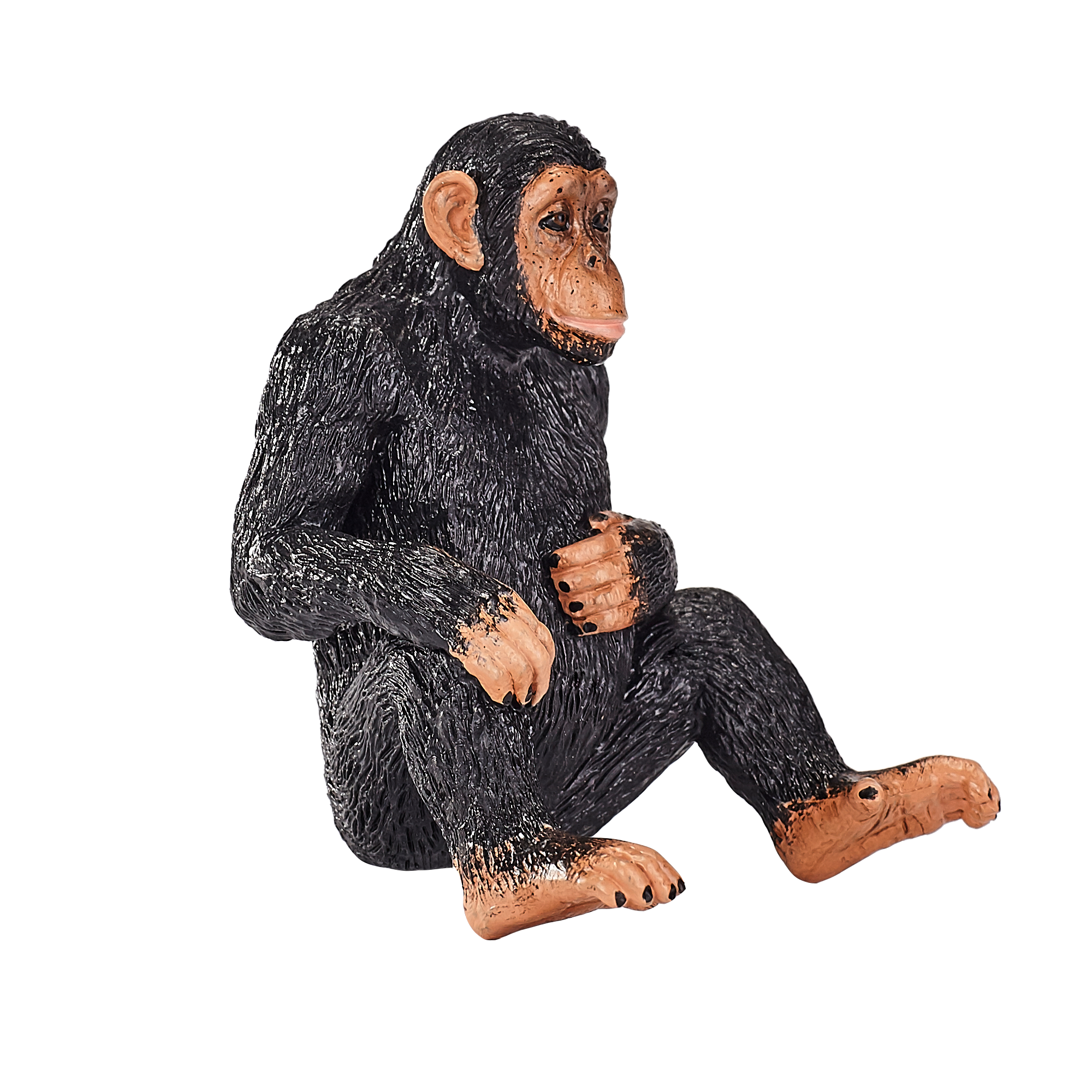 Toy School Chimpanzee