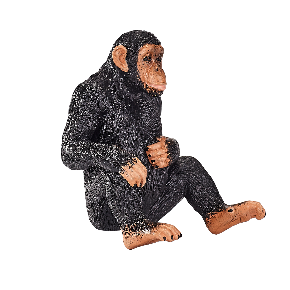 Toy School Chimpanzee