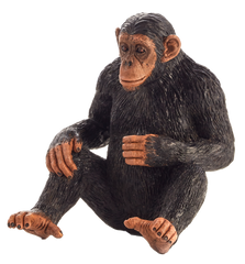 Toy School Chimpanzee