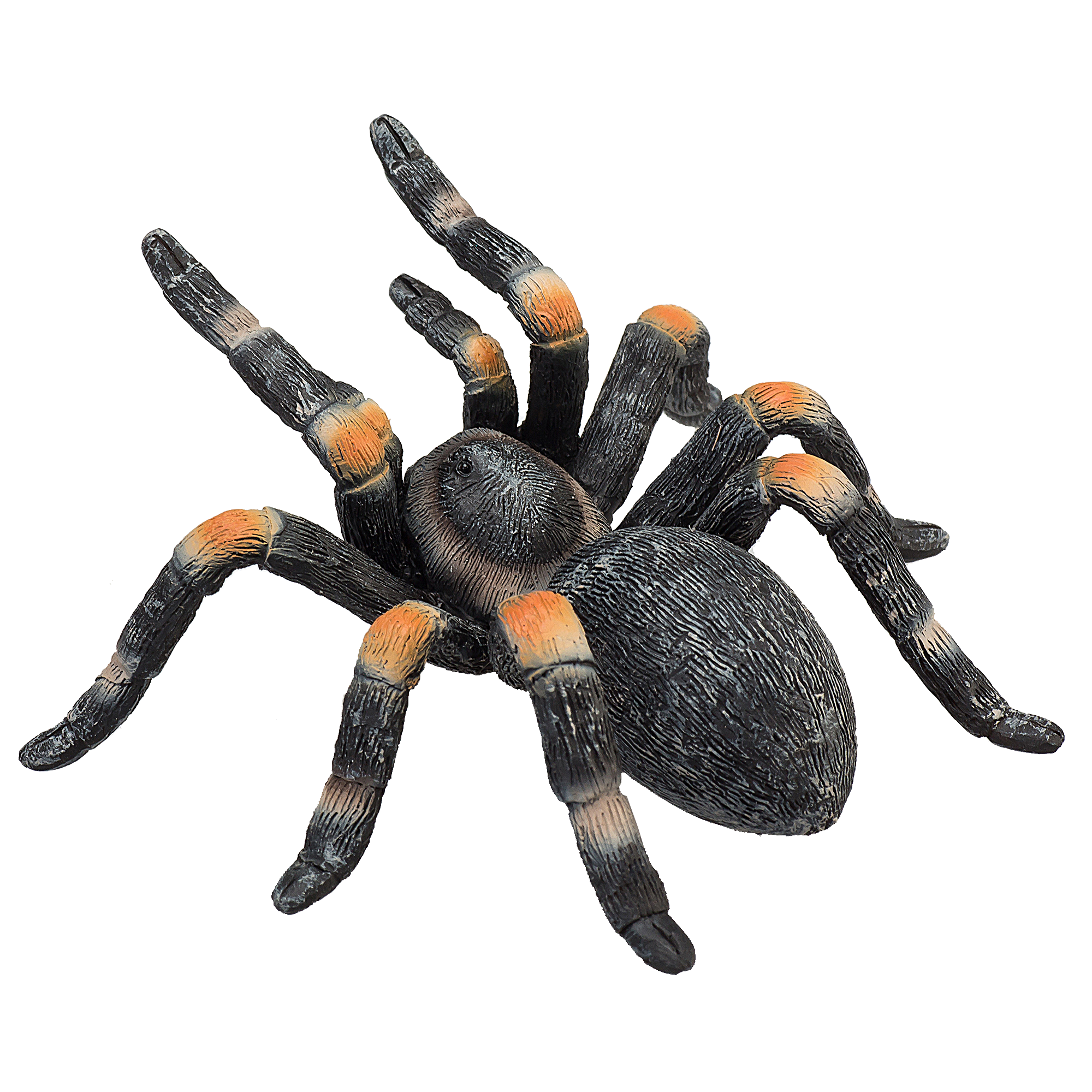 Toy School Red Kneed Tarantula