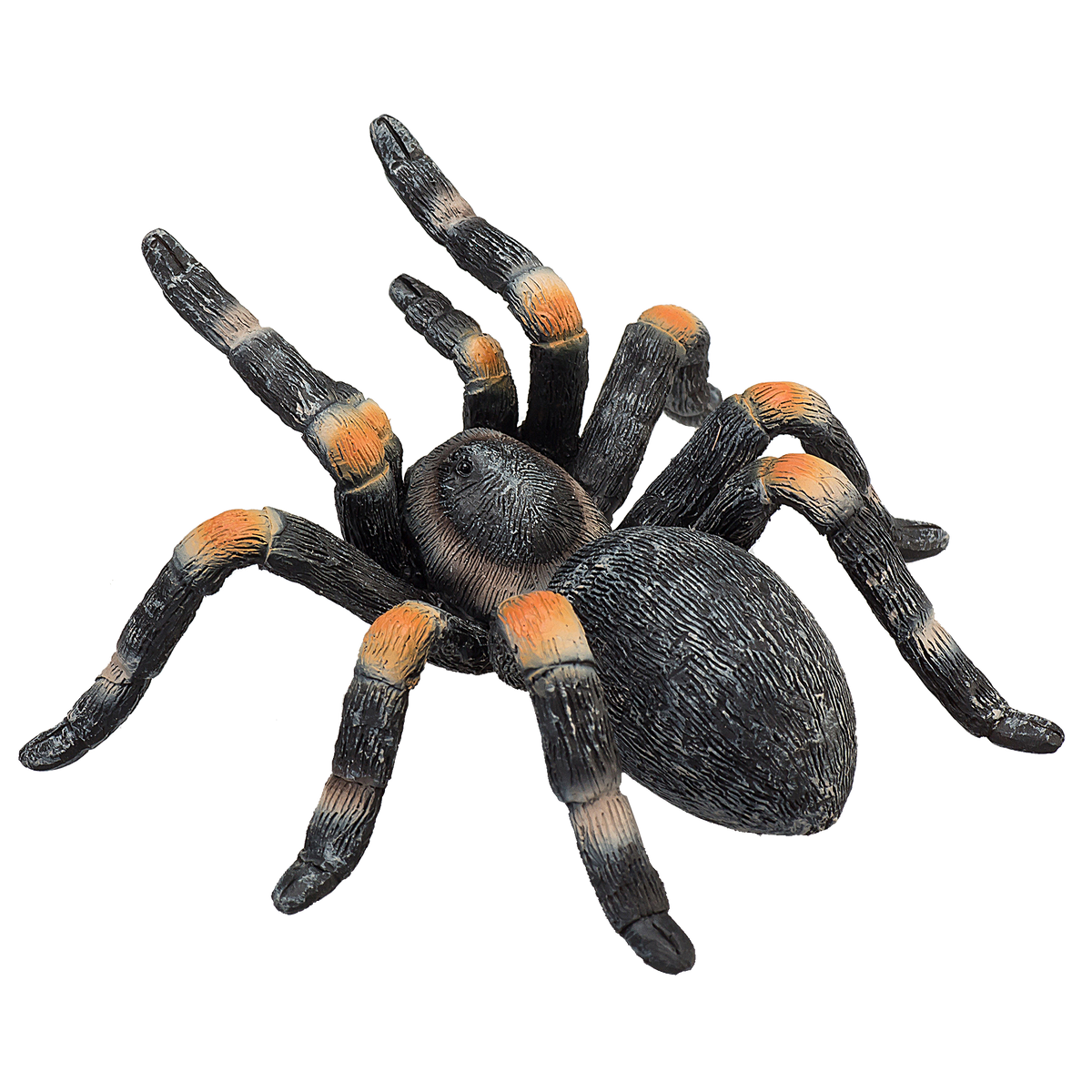 Toy School Red Kneed Tarantula