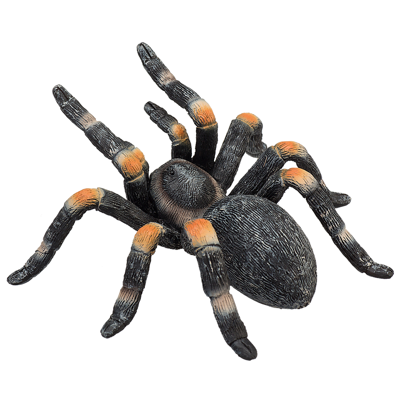 Toy School Red Kneed Tarantula