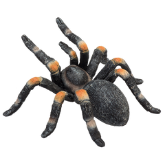 Toy School Red Kneed Tarantula