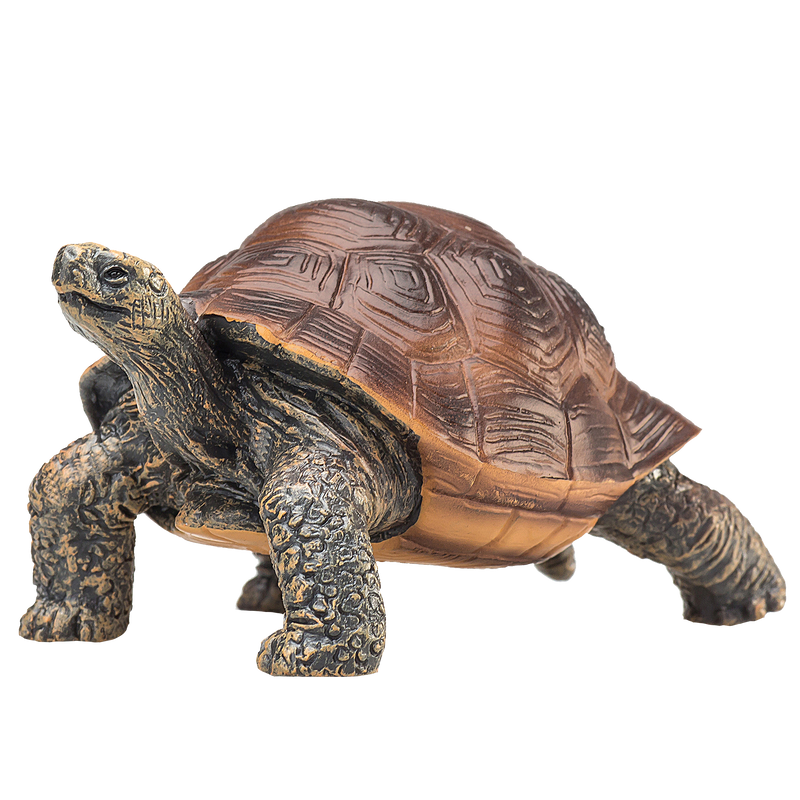 Toy School Giant Tortoise