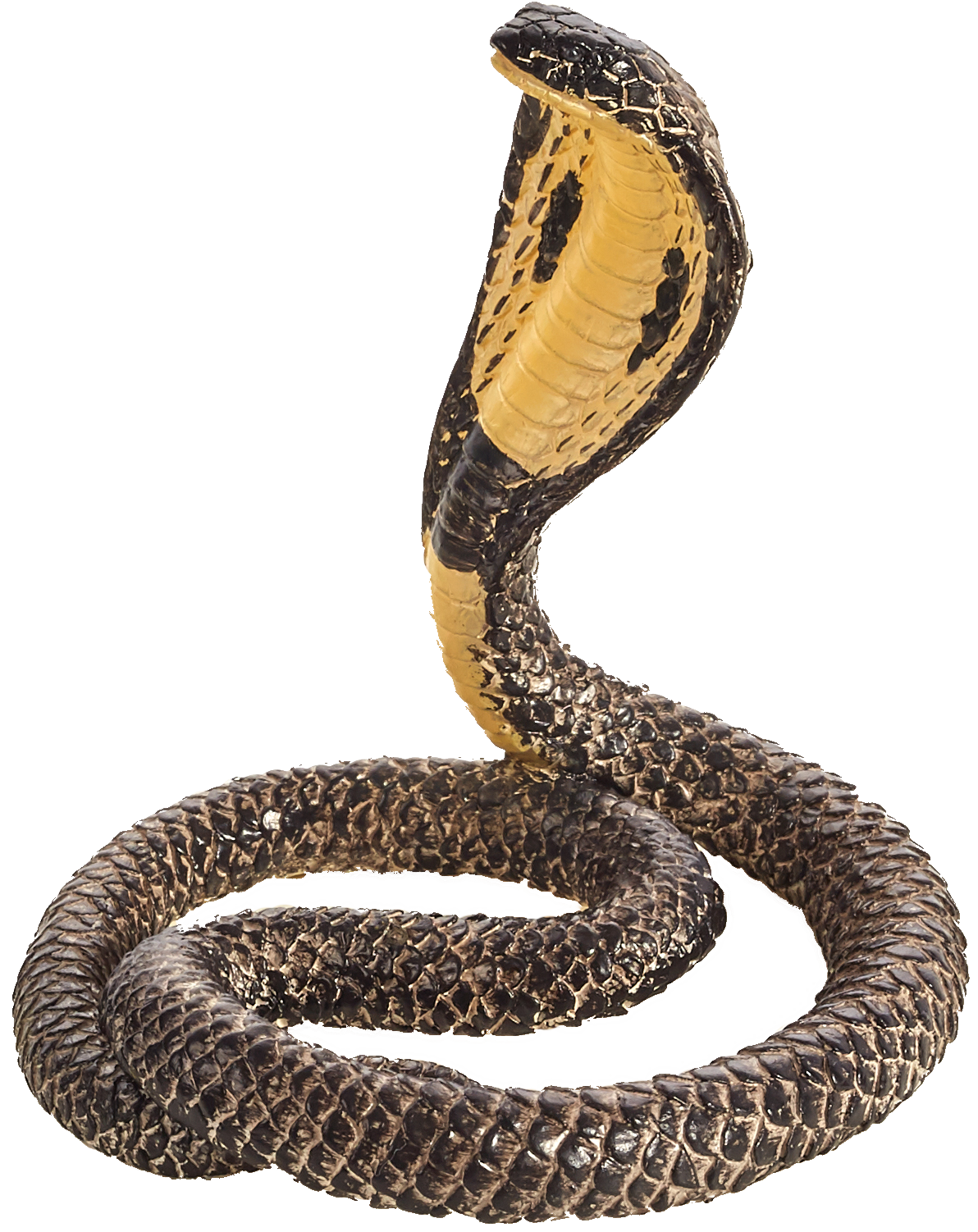 Toy School King Cobra