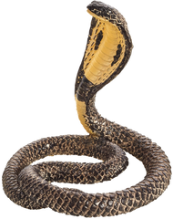 Toy School King Cobra