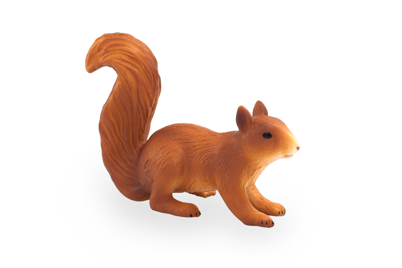 Toy School Squirrel Running