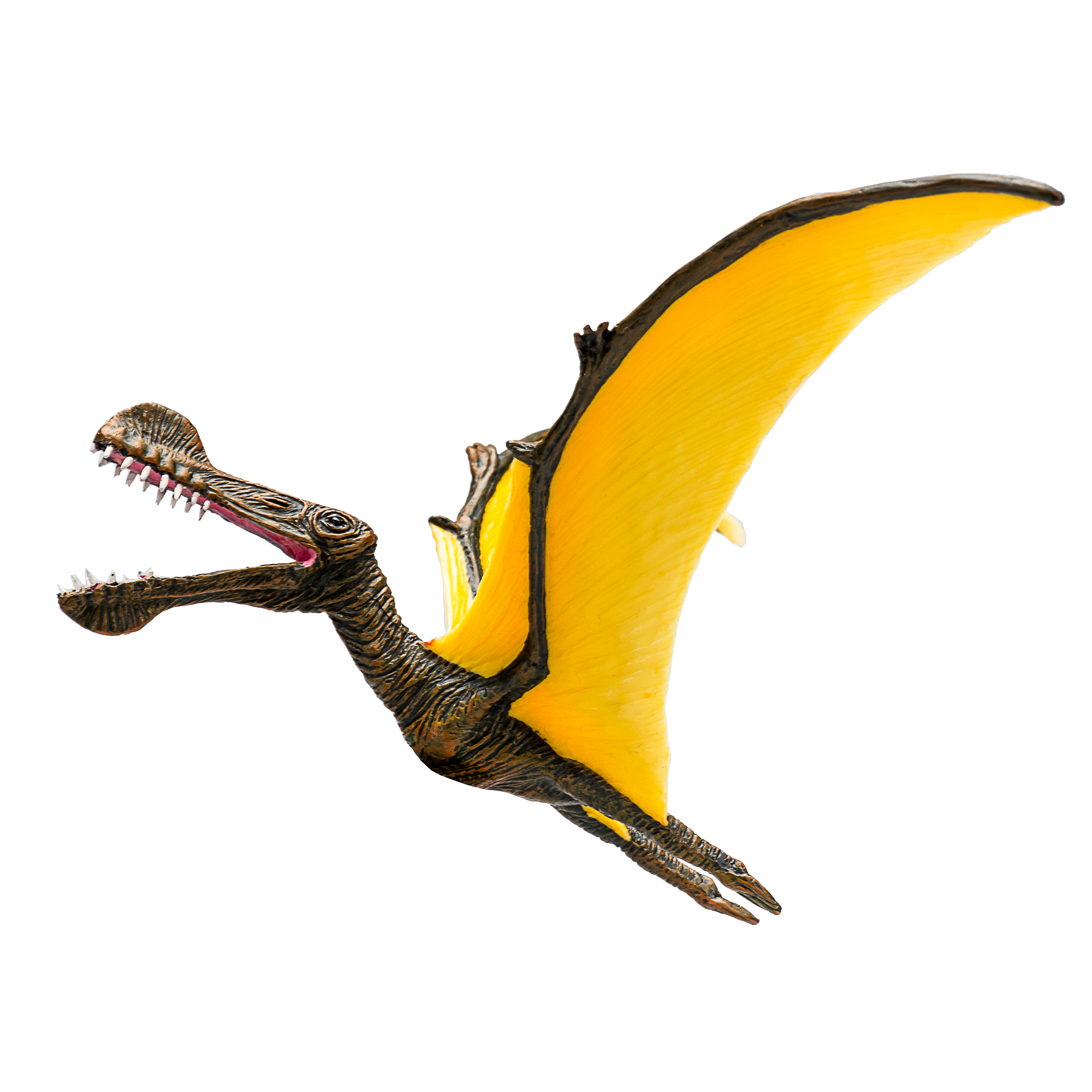 Toy School Tropeognathus