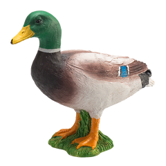 Toy School Mallard Duck