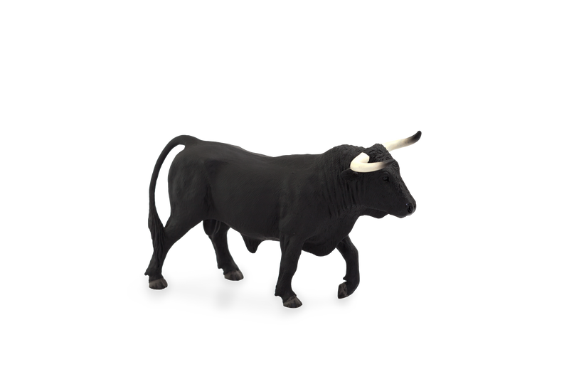 Toy School Spanish Bull